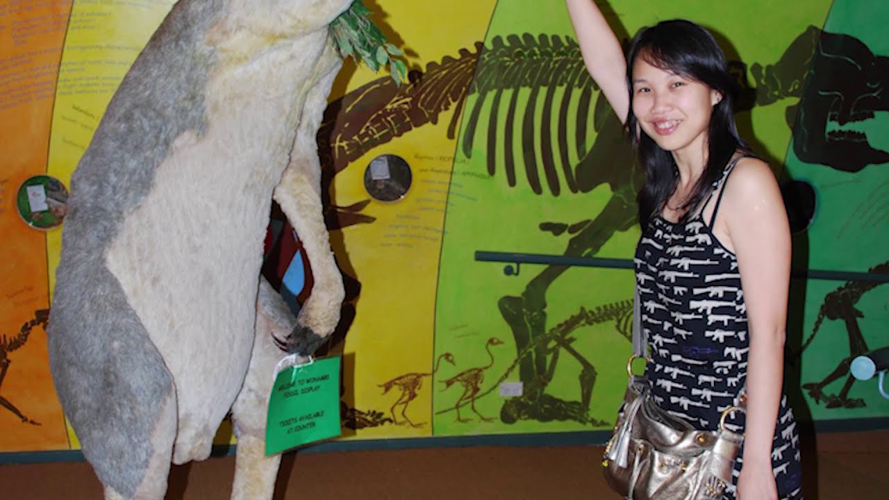 BIGGEST Beasts from the Ice Age