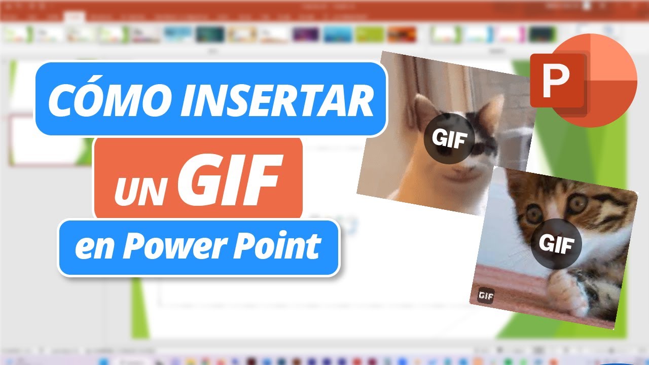 Cómo insertar un GIF en PowerPoint | Tutorial Power Point