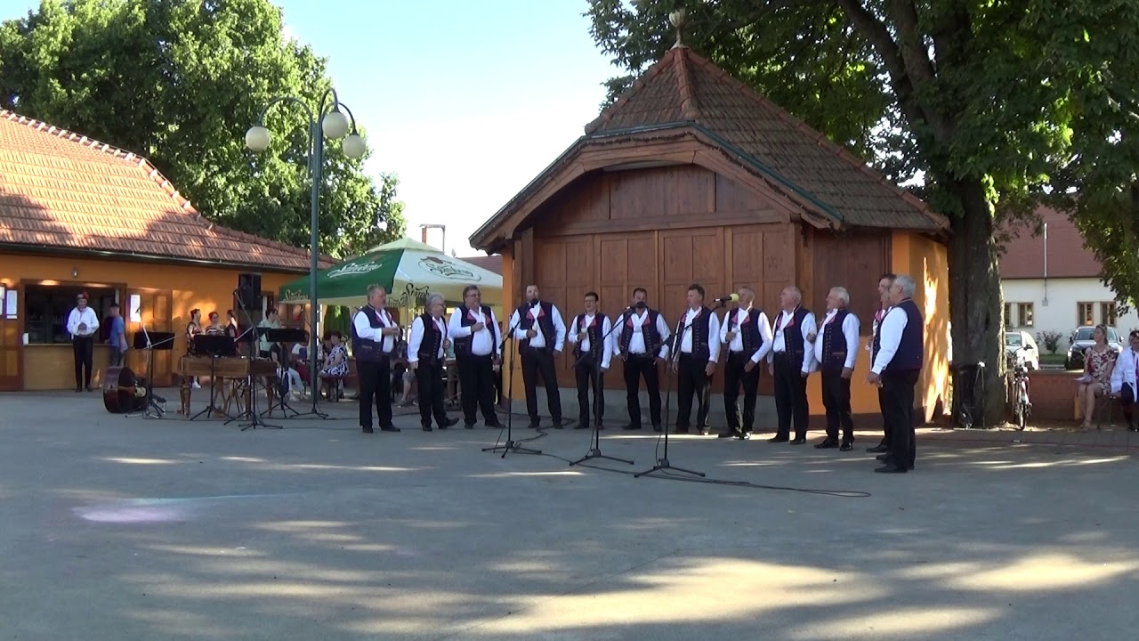 Doln&iacute; Dunajovice 2020 - MS Novosedly