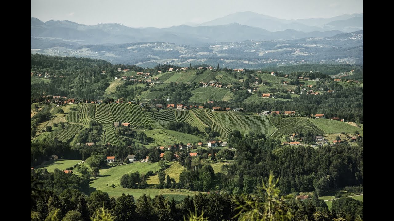 Weinbaugebiet Weststeiermark