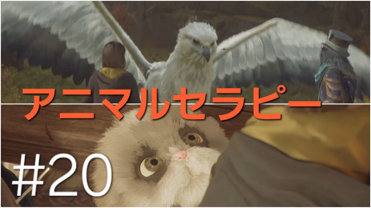 ホグワーツ・レガシー　20