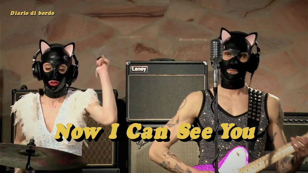 🛸 SPIN • Animaux Formidables • Now I Can See You • Live Session