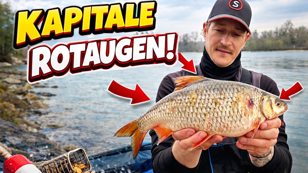 Traumfisch am Rhein! 💥 Damit habe ich nicht gerechnet