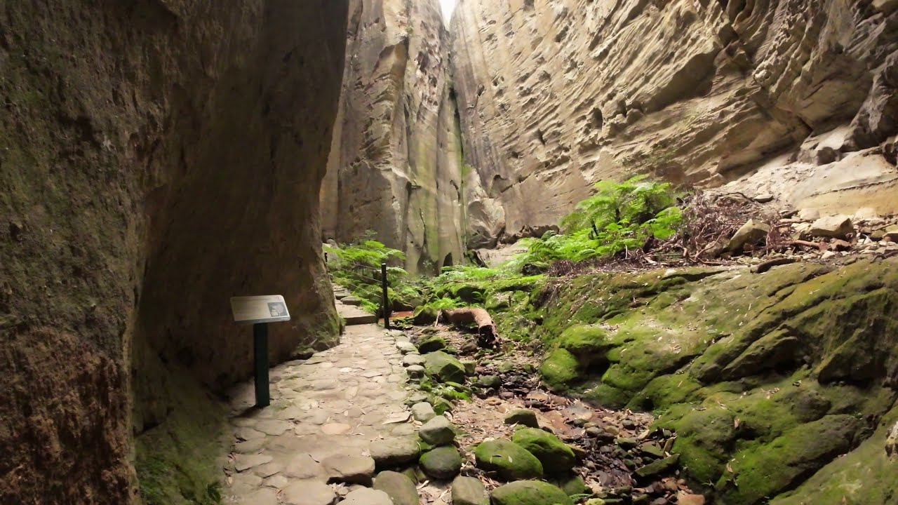 Canarvon Gorge - complete relaxing Australian 4k HD bush walk slow tv