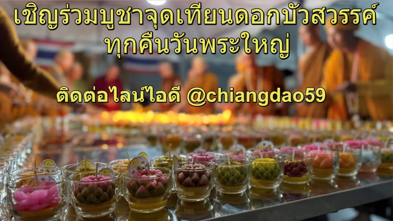 วันที 13 กุมภาพันธ์ พศ. 2569 บันทึกกำลังจักรพรรดิรอบเวลา  10.00 - 11.00 น.