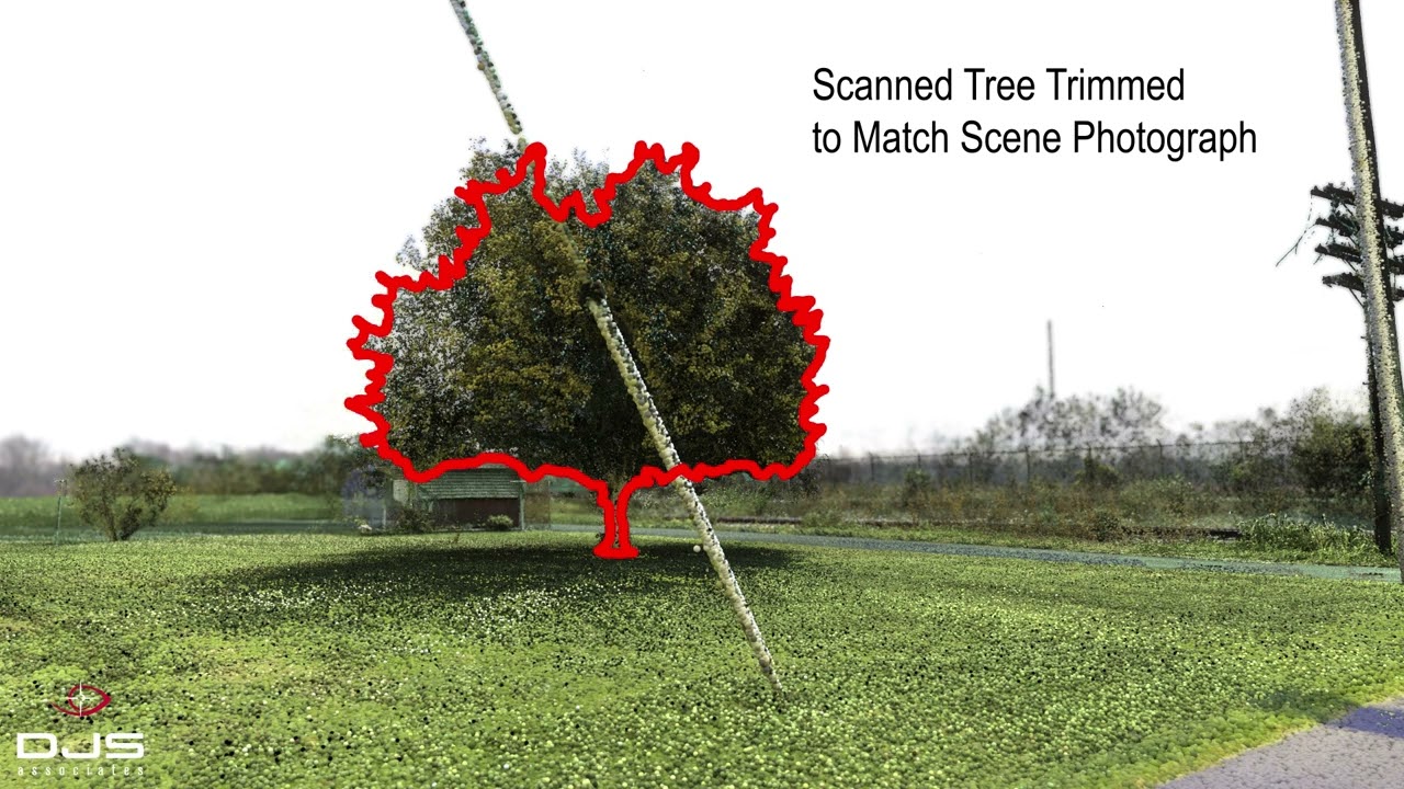 A Collision Reconstruction Engineer, an Arborist Expert, and a &ldquo;Time Machine&rdquo;
