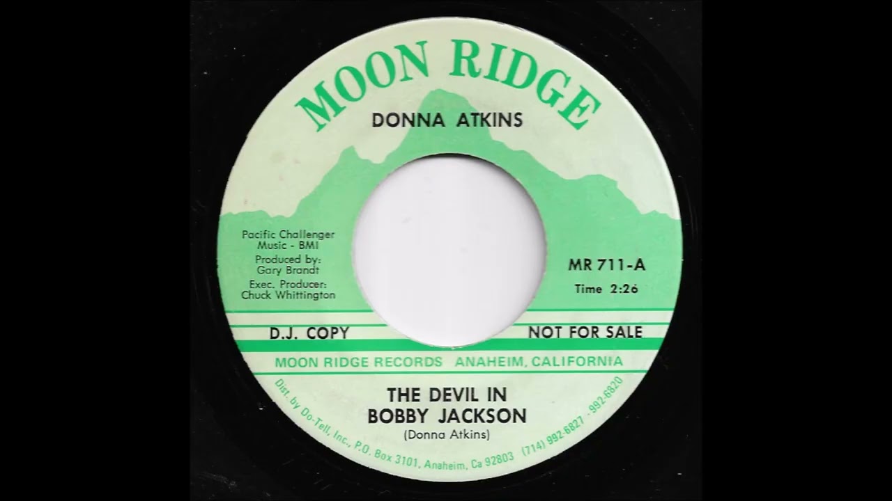 Donna Arkins  - The Devil In Bobby Jackson