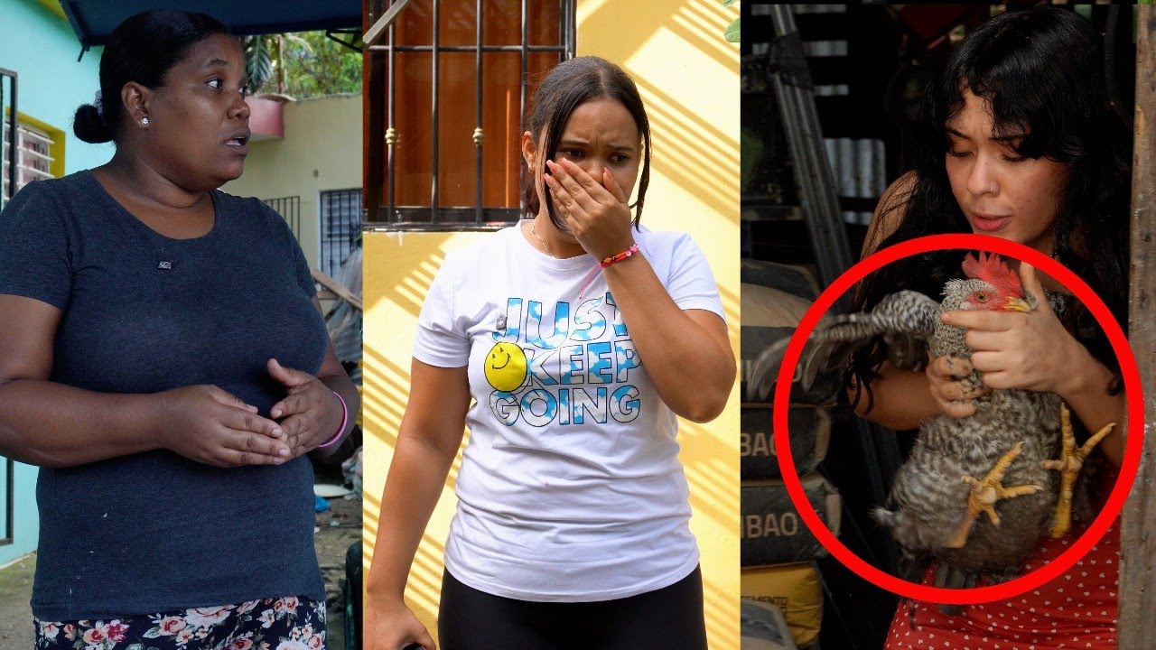 Se R0bó la GALLINA de su VECINA y le hechó la culpa a OTRA!! (Película completa)