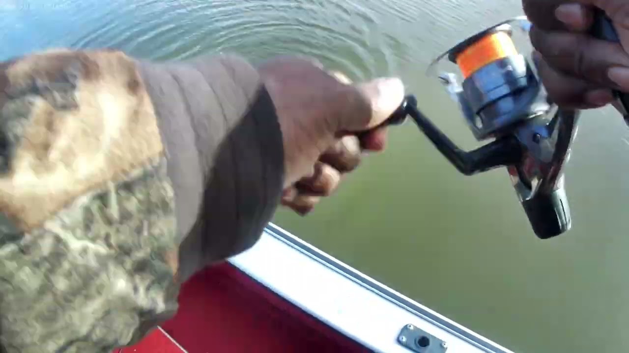 Gotta go get em!#crappie #fishing #crappiefishing #crappie #subscribe #ilovefishing 