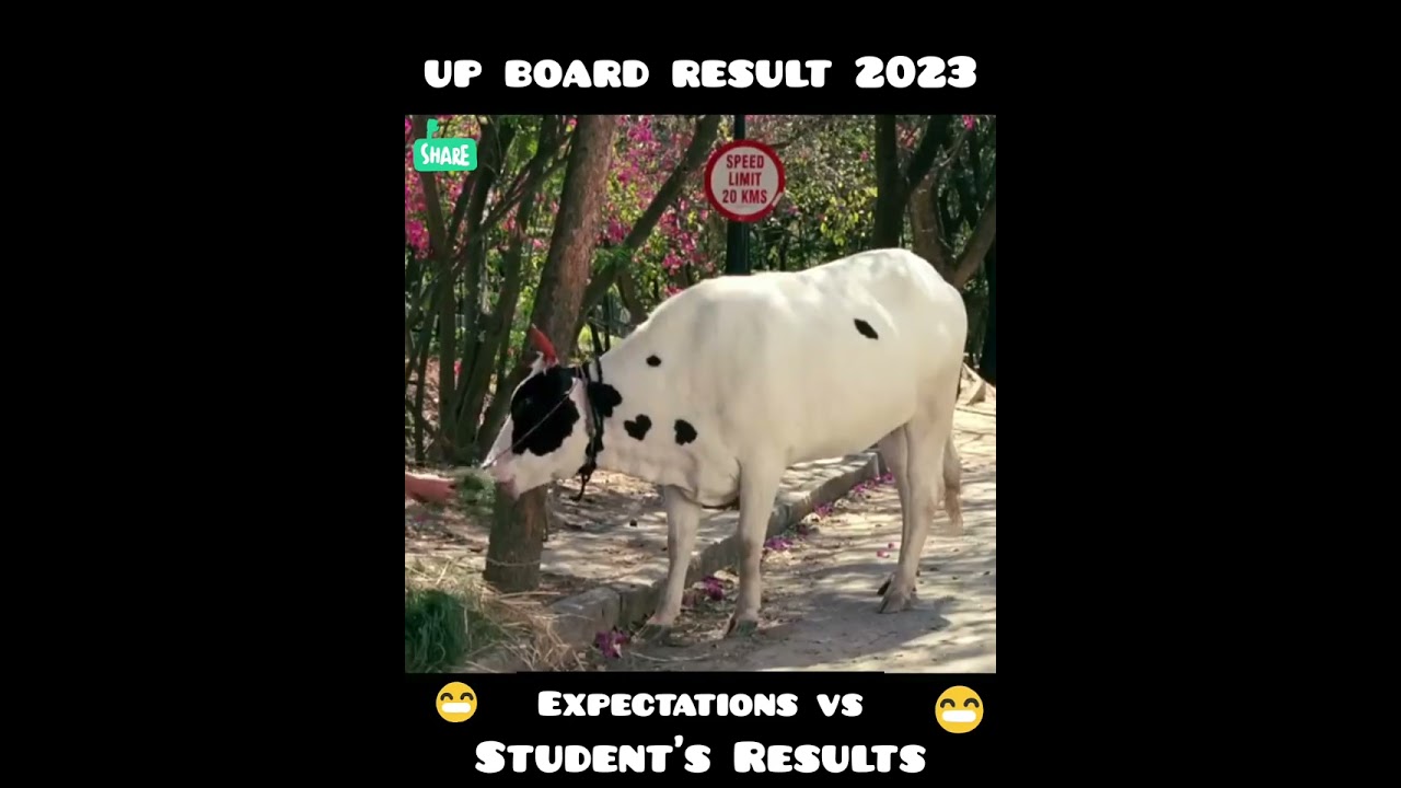Up board result 2023 Expectations vs Student's Results 😂😂 #shortvideo #trending #2023 #youtubeshorts