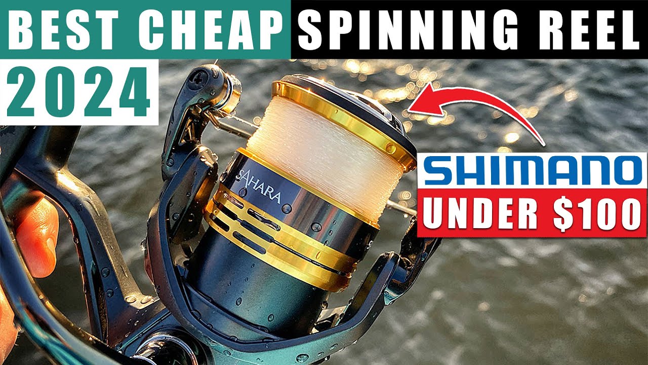 5 лучших недорогих спиннинговых катушек SHIMANO до 100 долларов 2024 года (обзор)