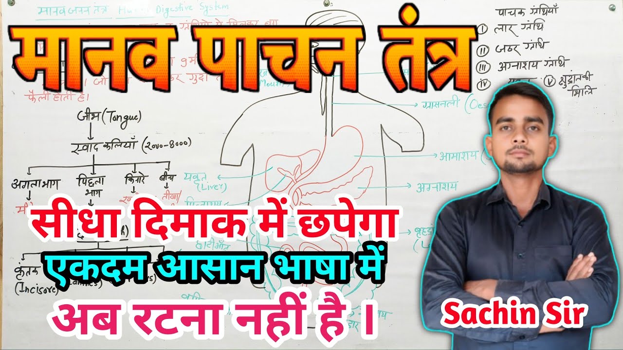 पाचन तंत्र ||  Digestive System || Pachan tantra class 10th || by Sachin Sir
