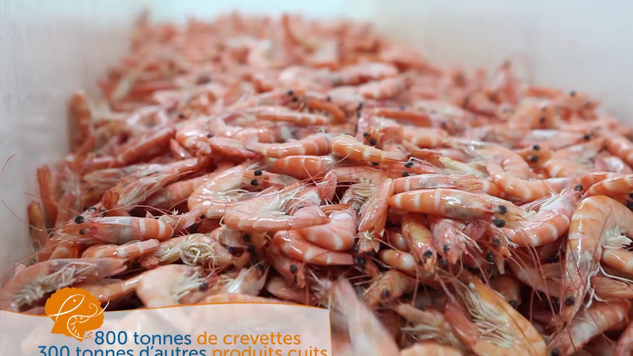 Cuisson des crustac&eacute;s - Notre coeur de m&eacute;tier