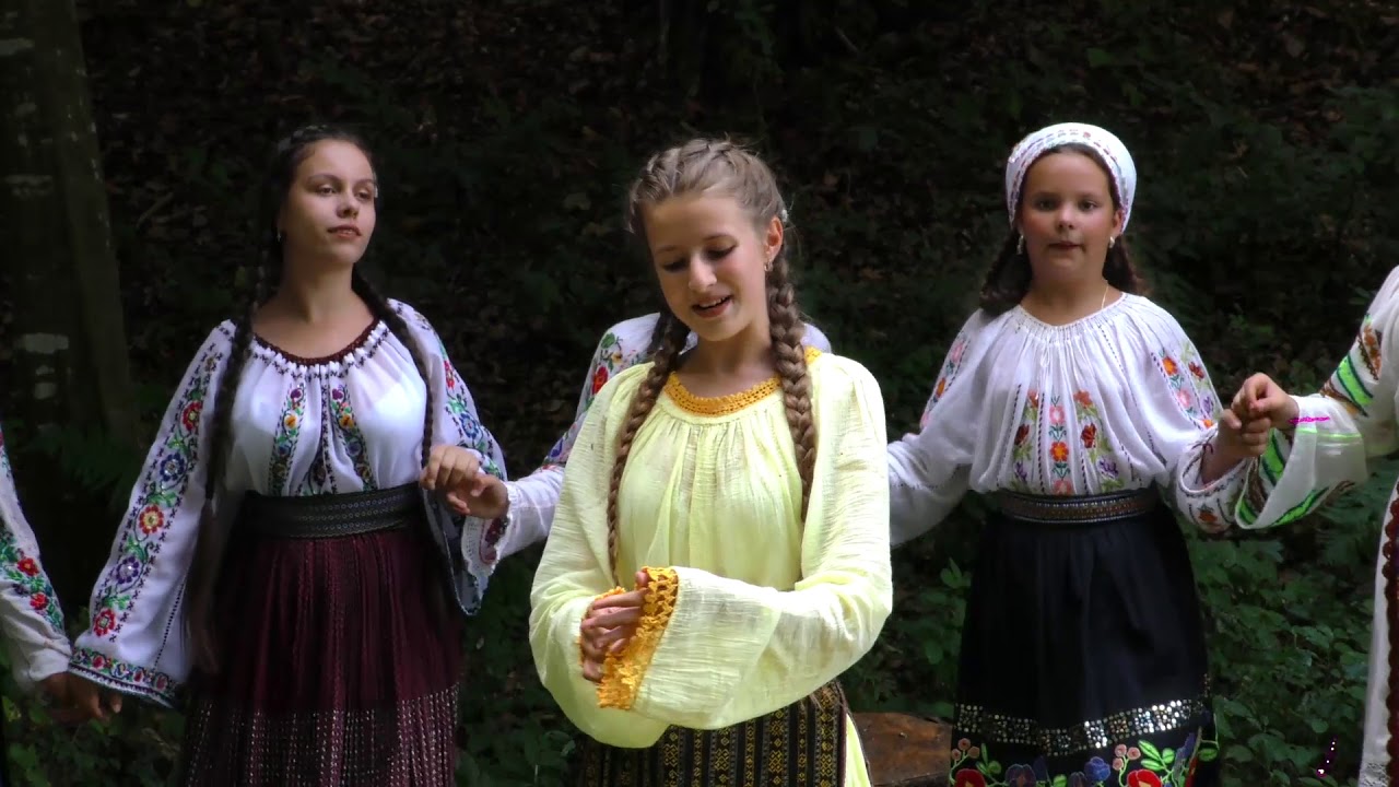 Malina Gheorghescu - Pe campul cu florile