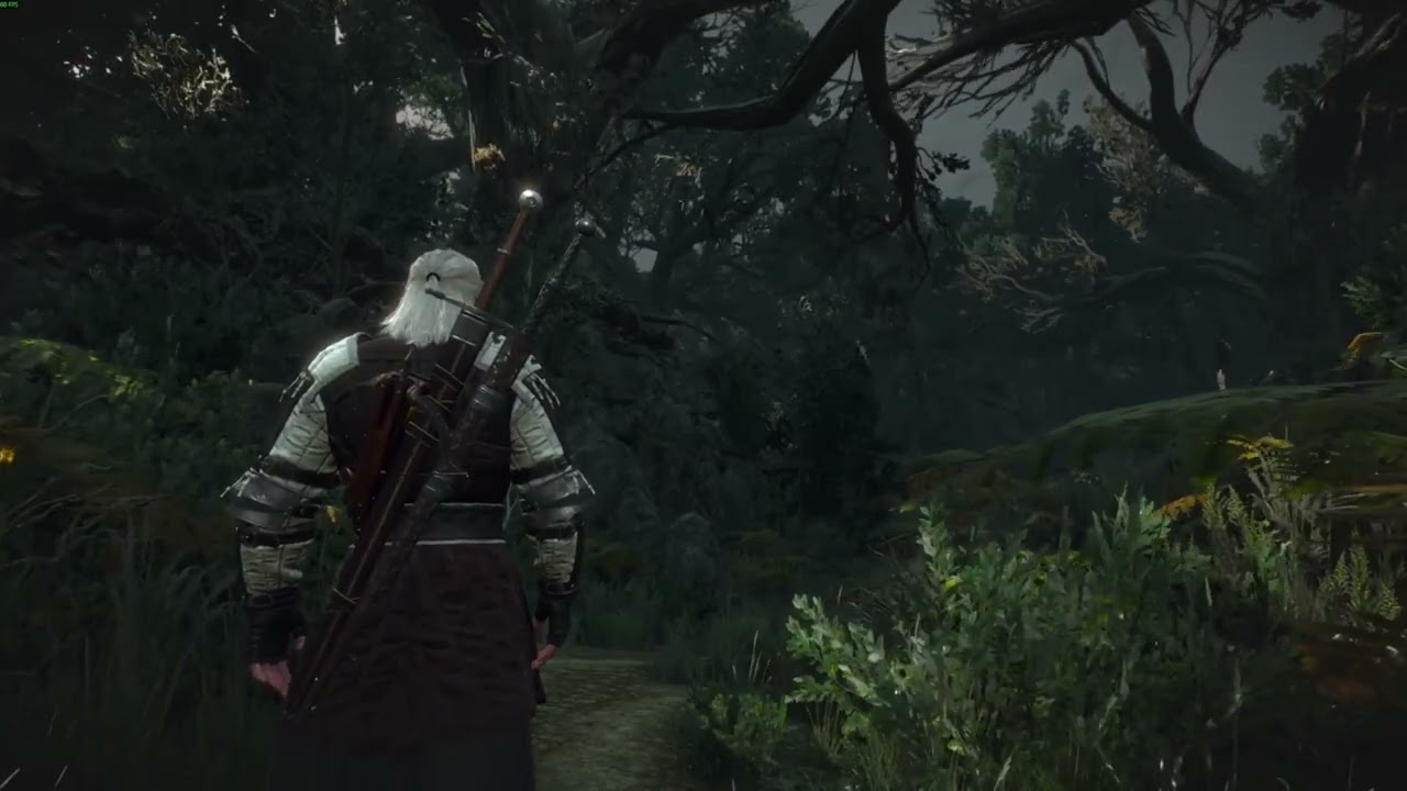 The Witcher 3 Dark Forest Ambient 1 Hour (Creepy & Mysterious Sounds)