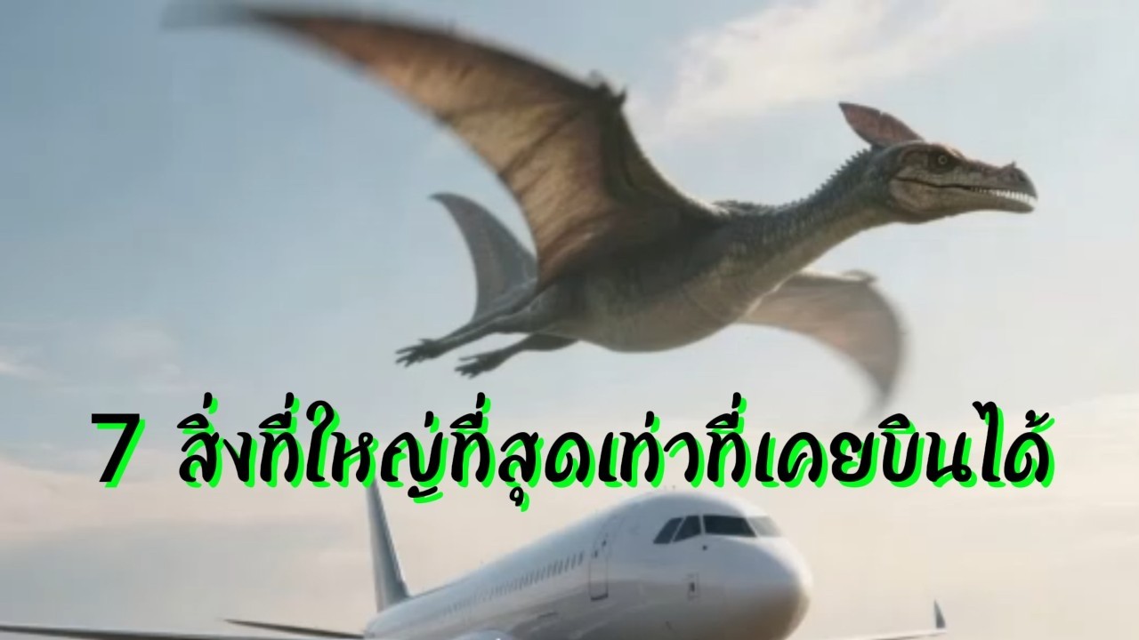 ท้าทายแรงโน้มถ่วง: 7 สิ่งที่ใหญ่ที่สุดเท่าที่เคยบินได้