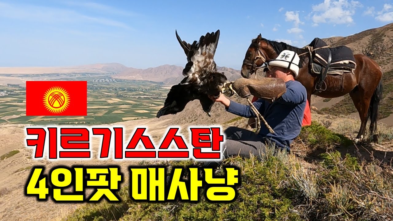 말도 안되는 곳에 말 타고 매 사냥 가기. 키르기스스탄 바콘바예바