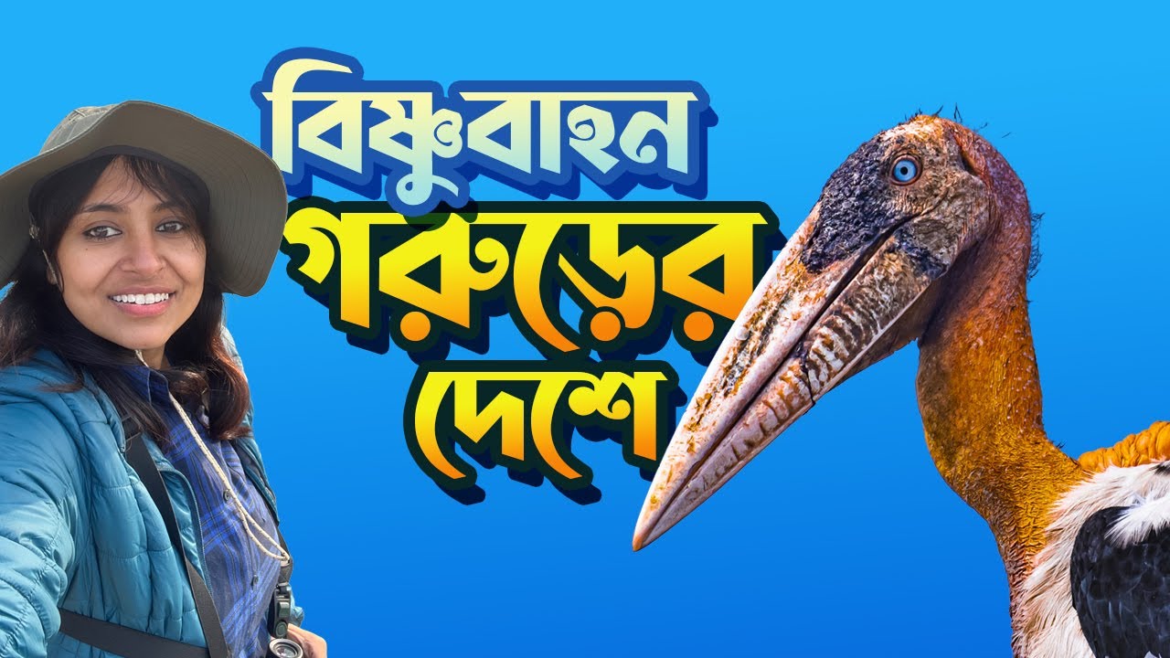 ভাগলপুরের হরেক পাখি । Birds of Bihar  Bhagalpur | Greater Adjutant Stork 