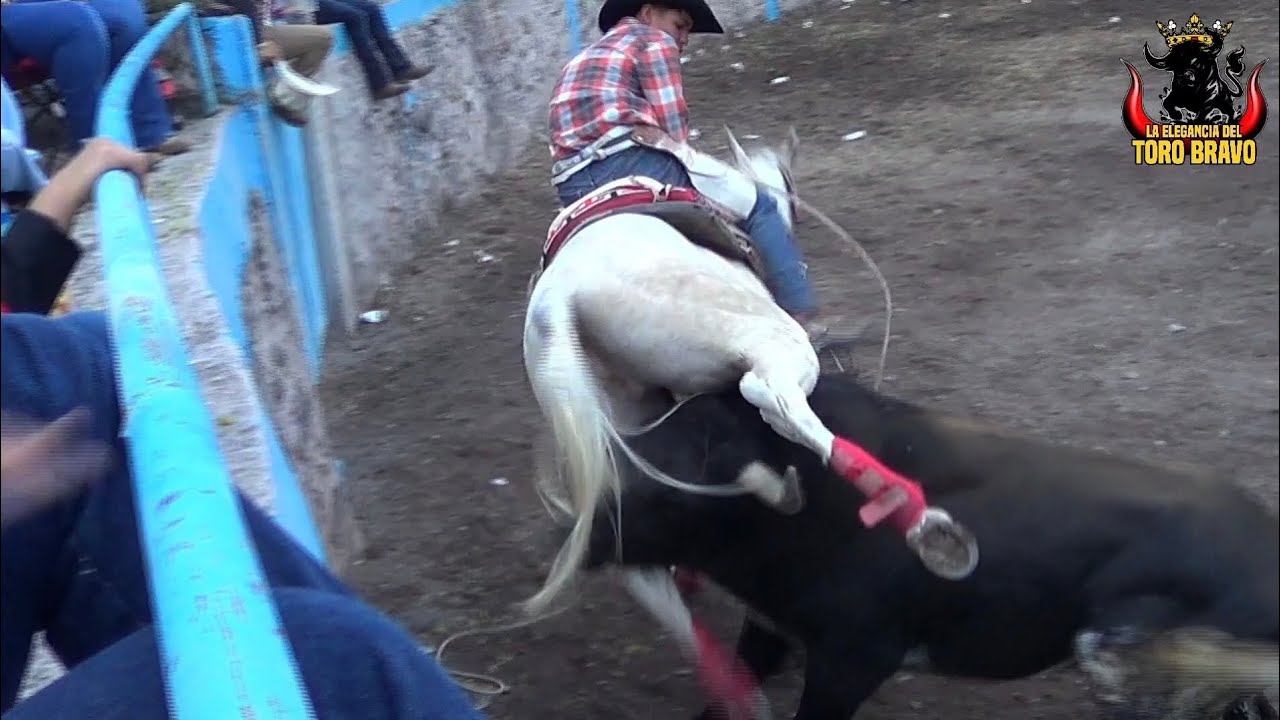 CORRAL DE PIEDRA DE LAS FUENTES, CORTAZAR 07/DIC/2025 JARIPEO VOL 7