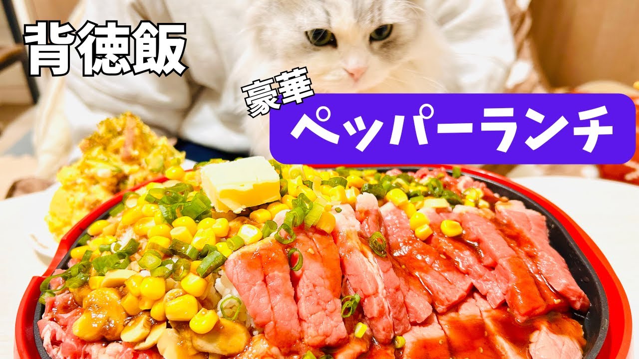 【やっちまった...】結局これが1番美味い！肉塊ペッパーランチ【ジャンク飯】