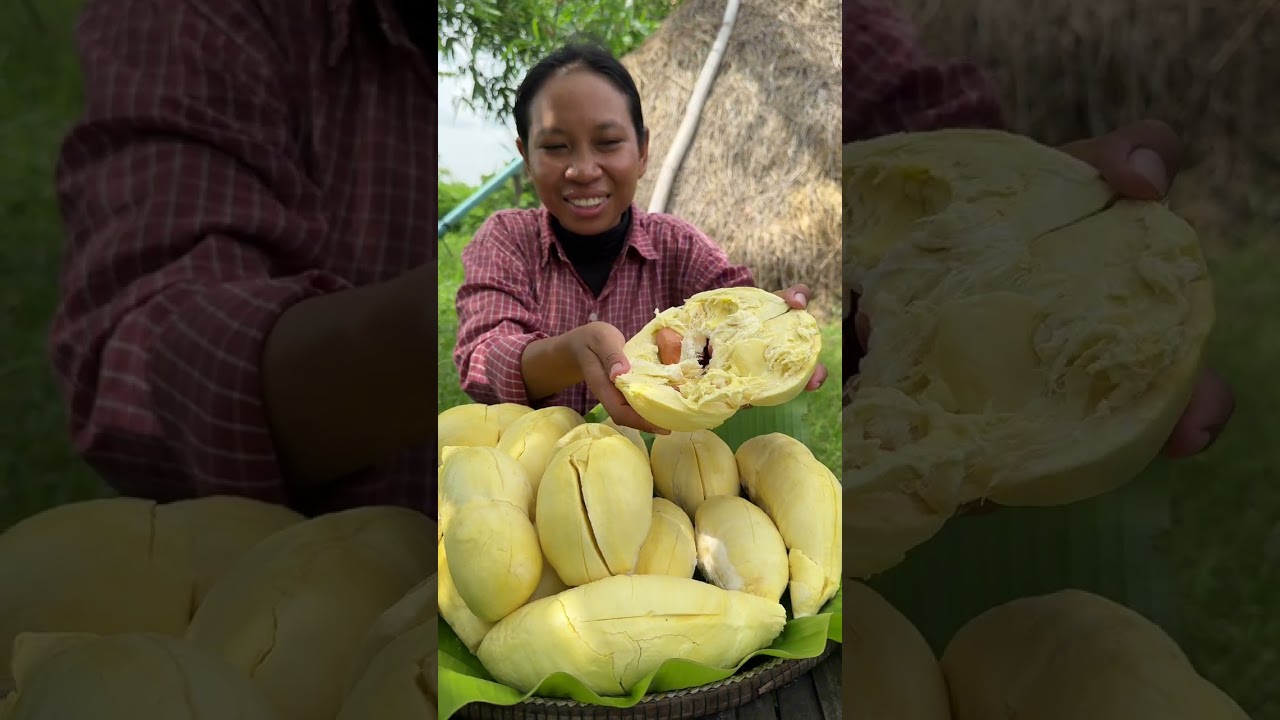 សុំបែបព្រឺព្រួចម្តងហើយពុកម៉ែបងប្អូន