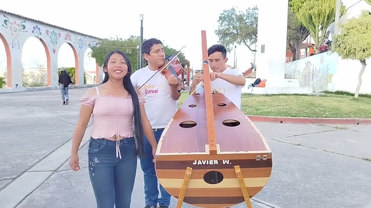 Huaynitos del recuerdo Arpa y violín 🎻🪉Danitza tineo