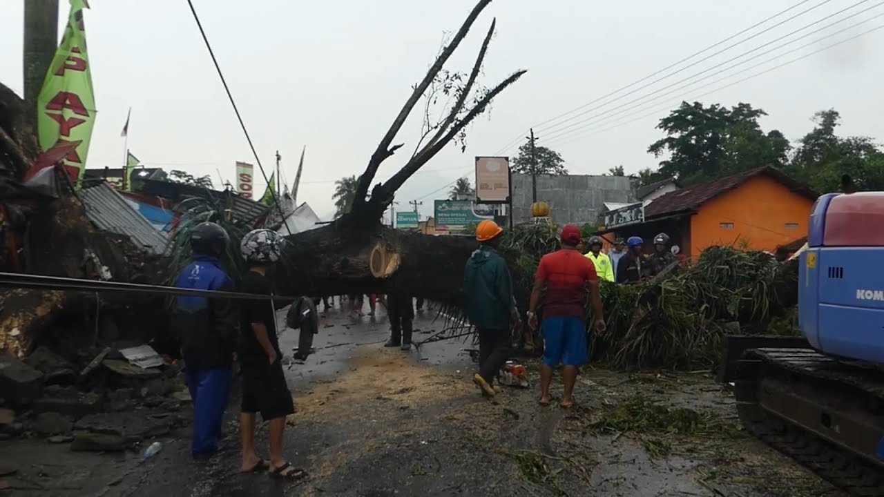 GAWAT!! Hujan Es Sleman, 8 Warga Luka Tertimpa Pohon Tumbang - NET YOGYA