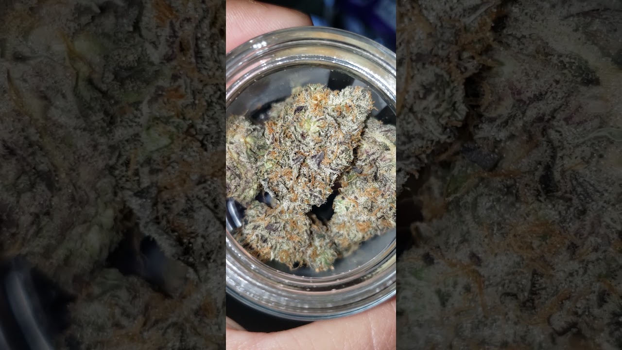 PURPLE FIG STRAIN #whatsinyourbag?