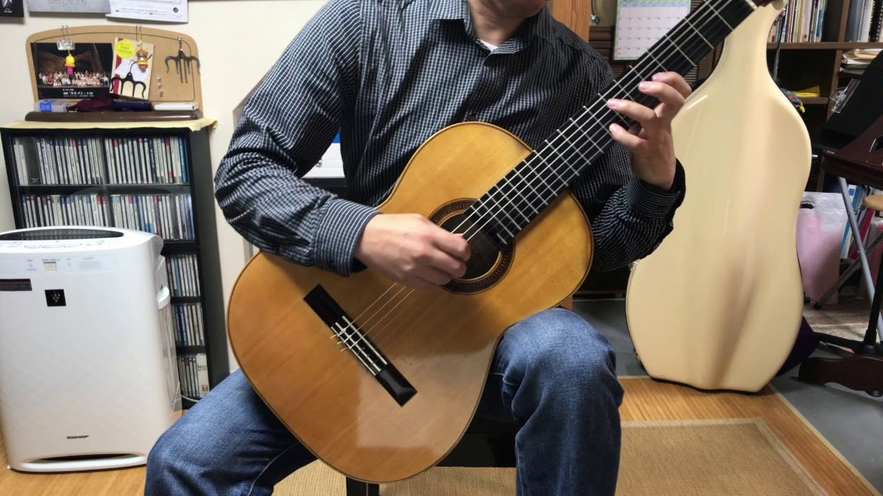 F. Sor ETUDE Op.29-22 (Segovia No.18)