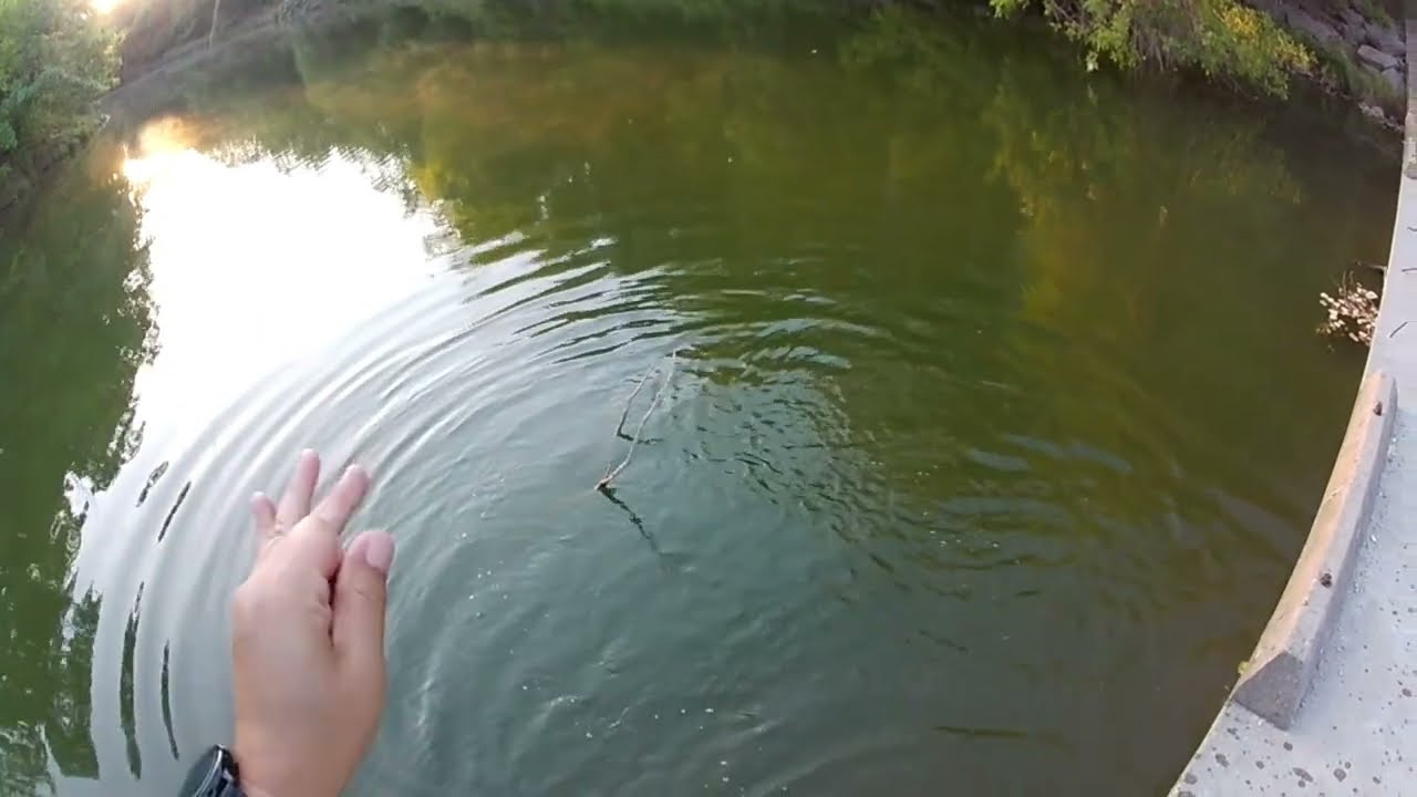 Trinity River Series Part 1  EP 1