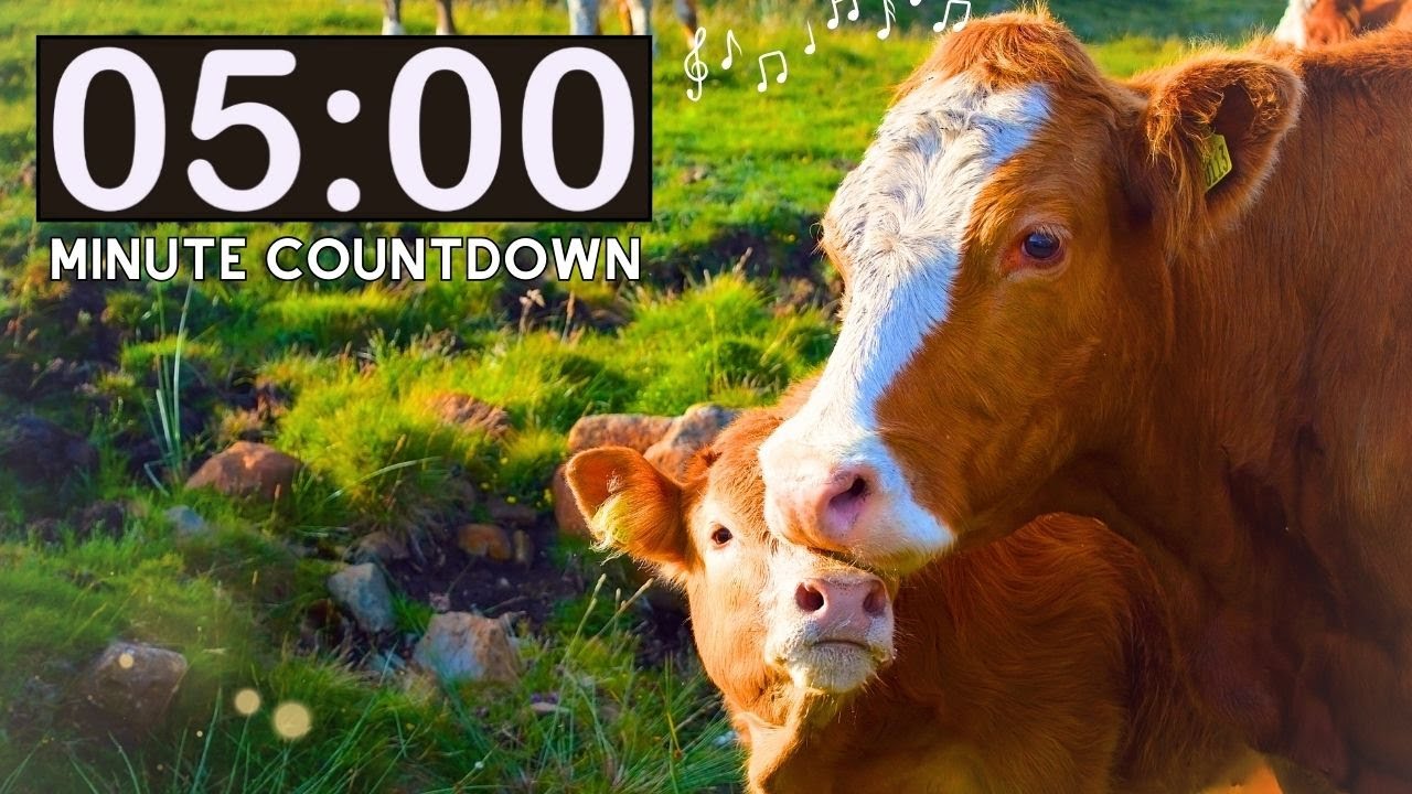Relaxing Nature Farm Cows | 5 Minute Countdown Kids Timer | Spring Animals | Classroom Management