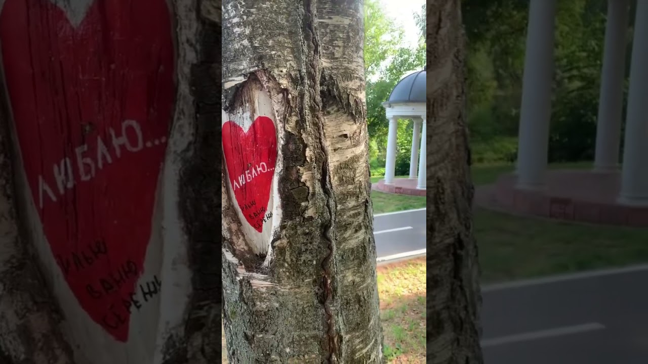 В Клин одним днём