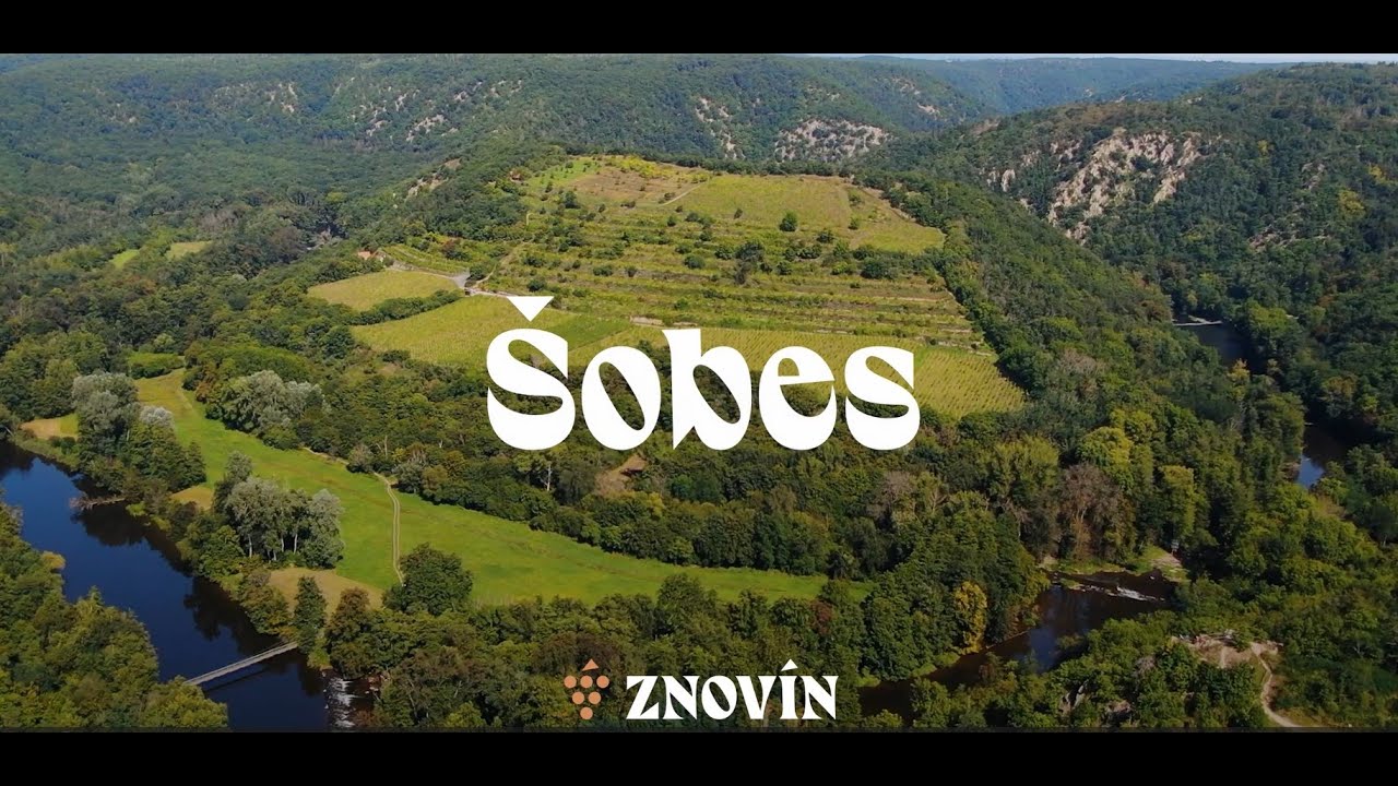 Znovín - viniční trať Šobes