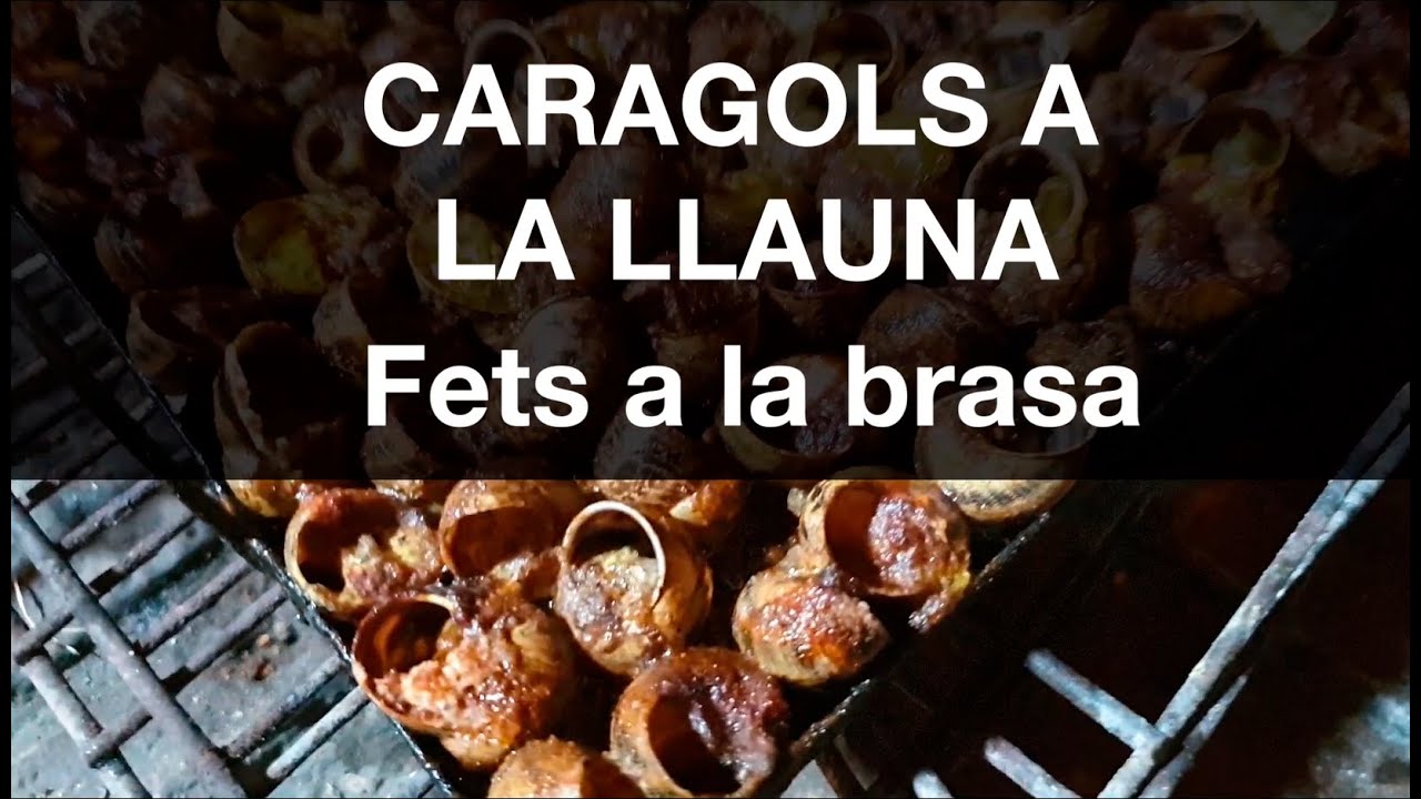 Com fer cargols caragols a la llauna. O cargols a la llauna. Caracoles a la llauna.