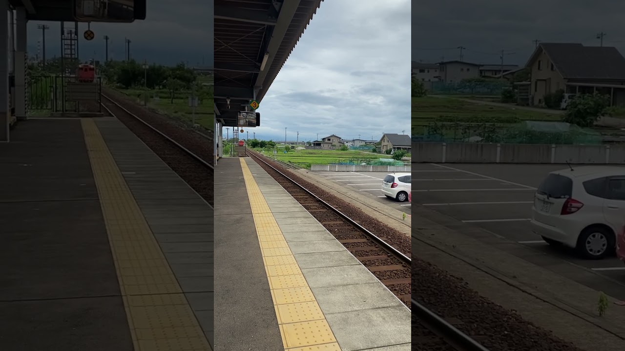 E7/W7 high speed passing and KiHa47 ￼arriving at Shin-Takaoka Station