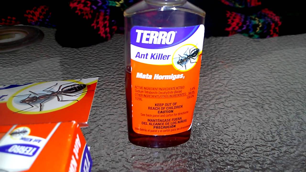 Household Ant Battle Part 5 Video Maxforce FC Gel