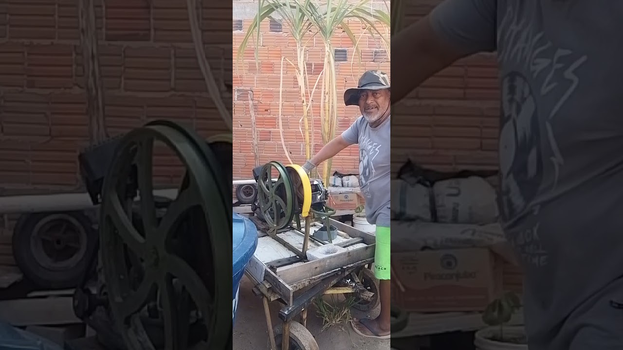 limpando cana fazer rapadura