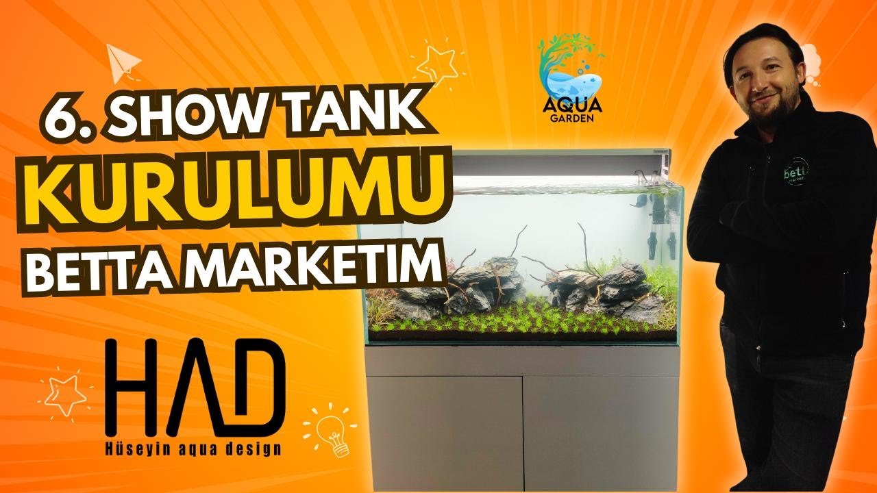 Stüdyo 6. Akvaryum Kurulumu | Betta Marketim