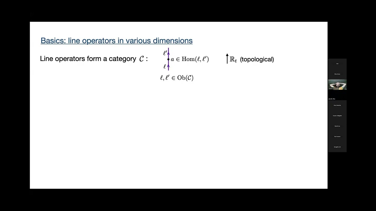 Tudor Dimofte -  Tannaka/Koszul duality and line operators (part 1)