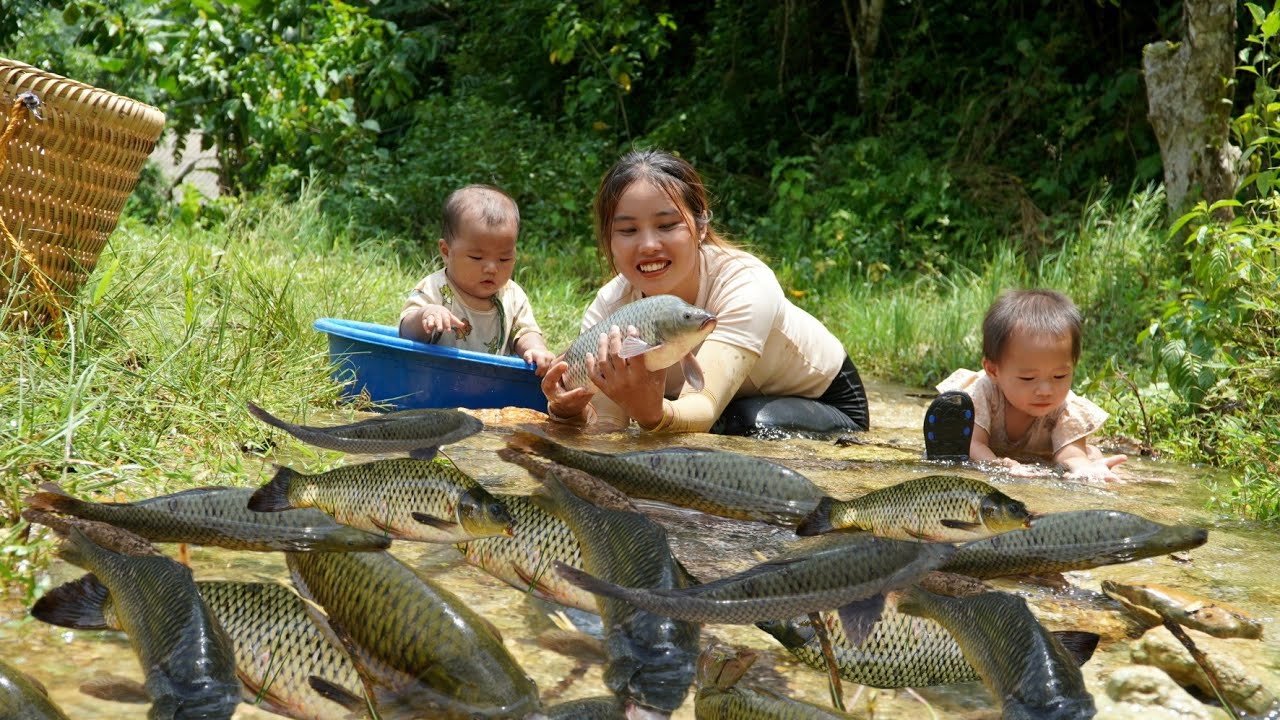 Single mother of 2 children harvests fish on rainy day to sell at market