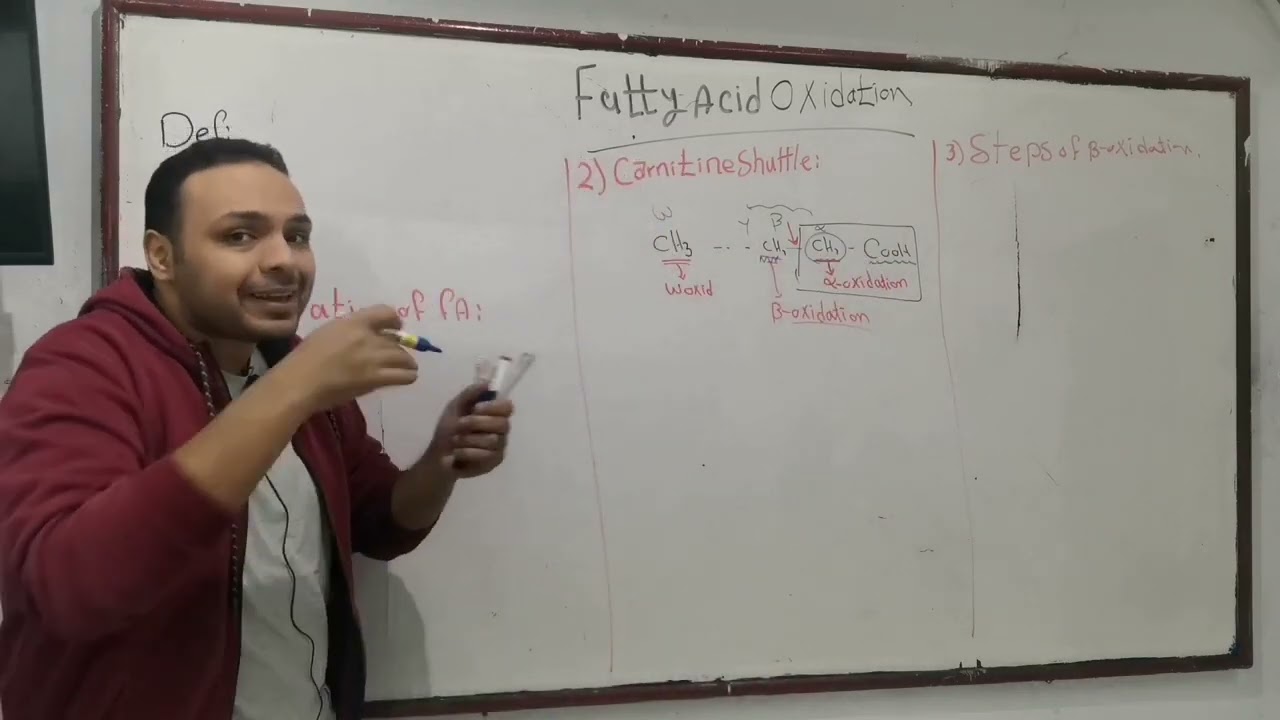 2- Fatty acid Beta Oxidation part 1