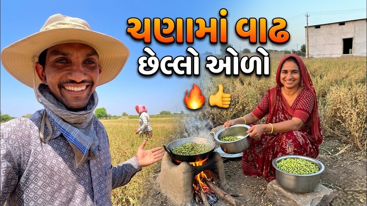 ચણામાં વાઢ || છેલ્લો ઓળો 😋 || ટોપી લઈ લીધી || Life at Botad Village Vlogs 