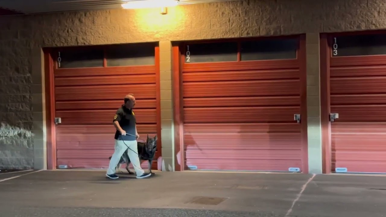 Seattle Security Patrol