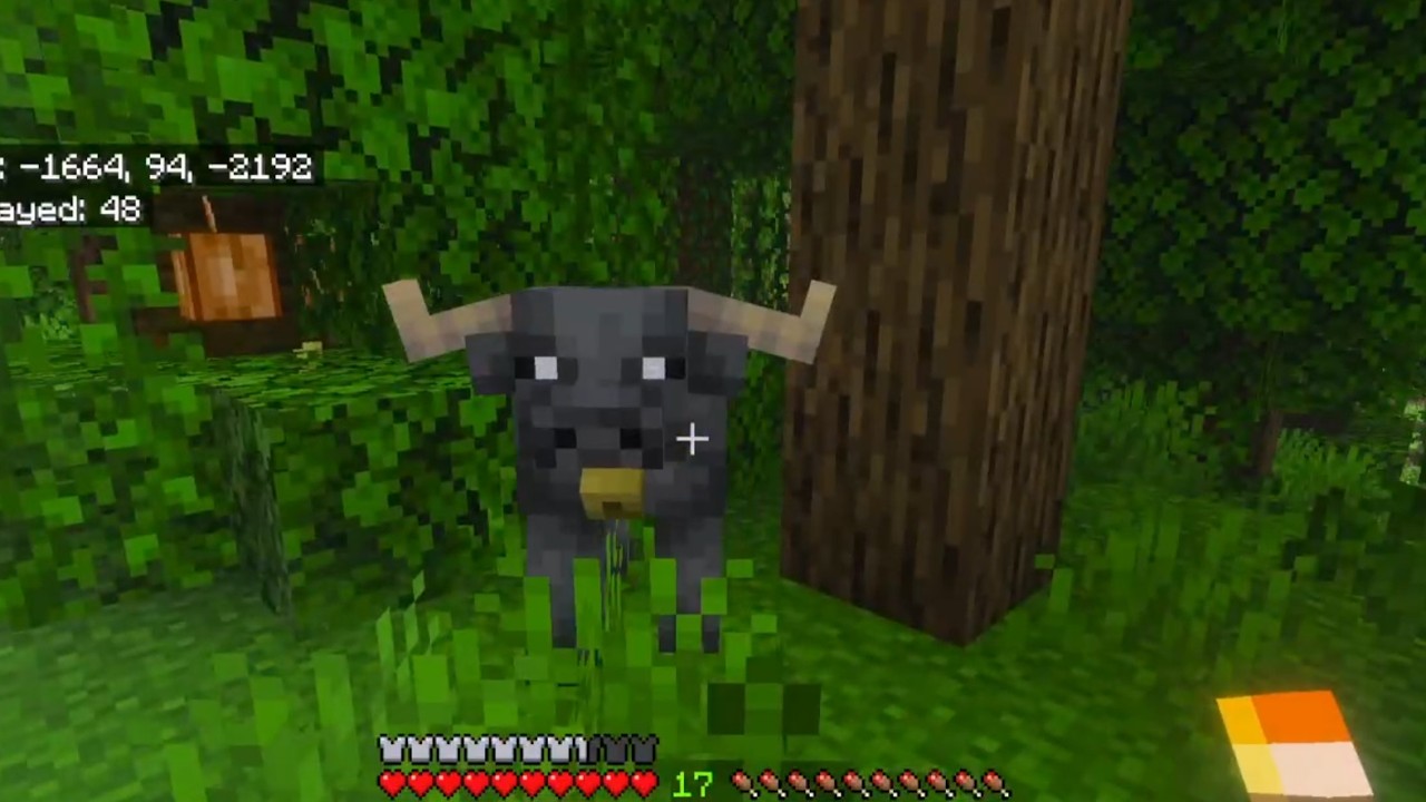 We went hunting for buffalo| Minecraft