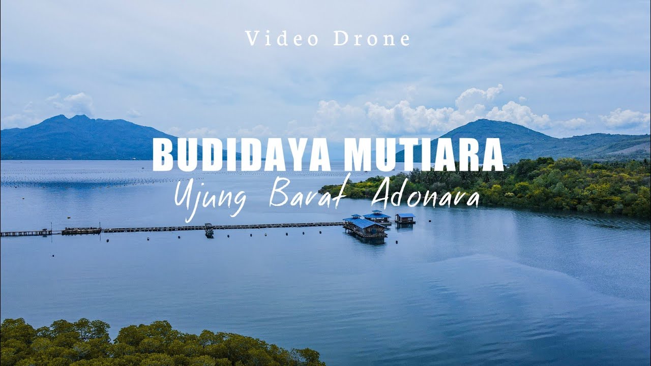 BUDIDAYA MUTIARA DI UJUNG BARAT ADONARA || Video Drone