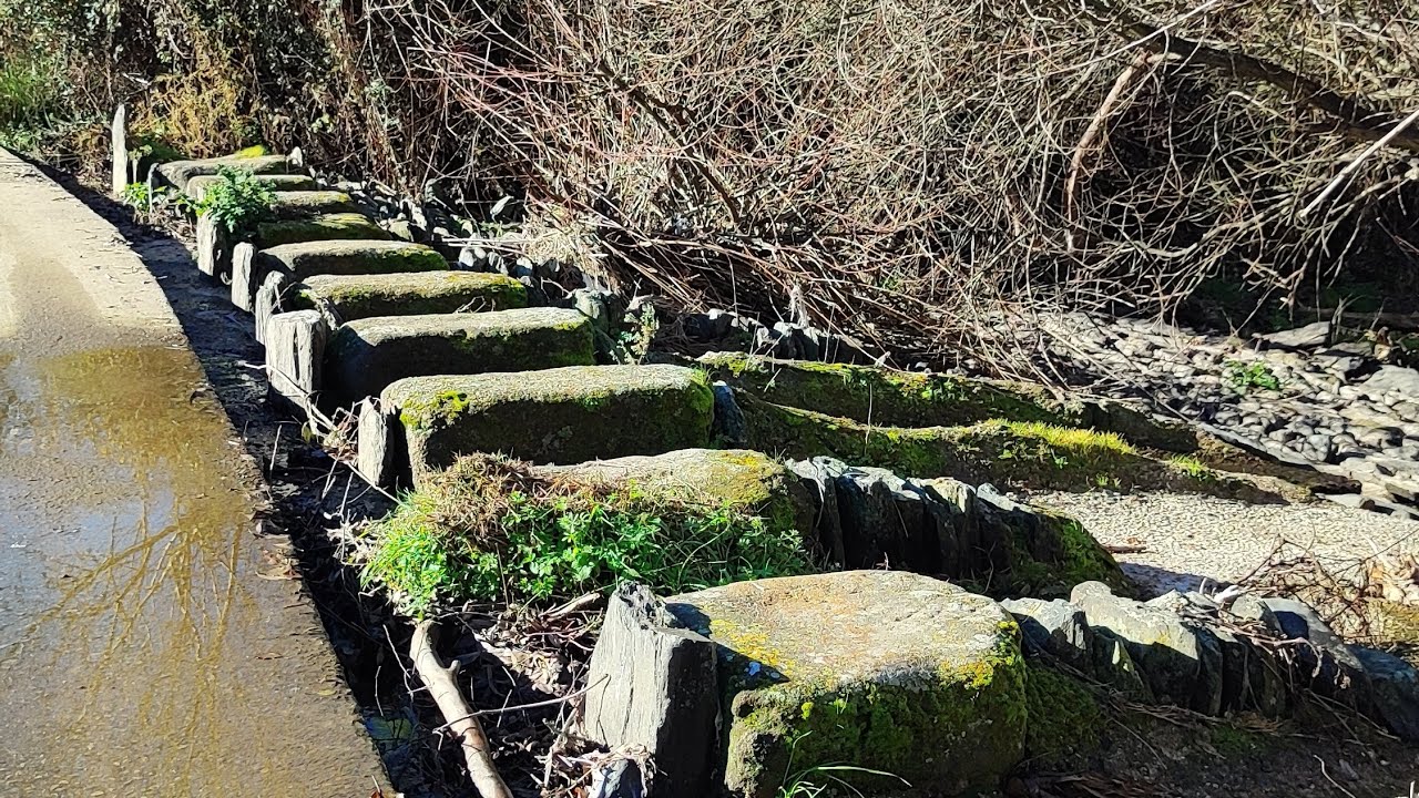 Cañada Real de Gata en Valencia de Alcántara