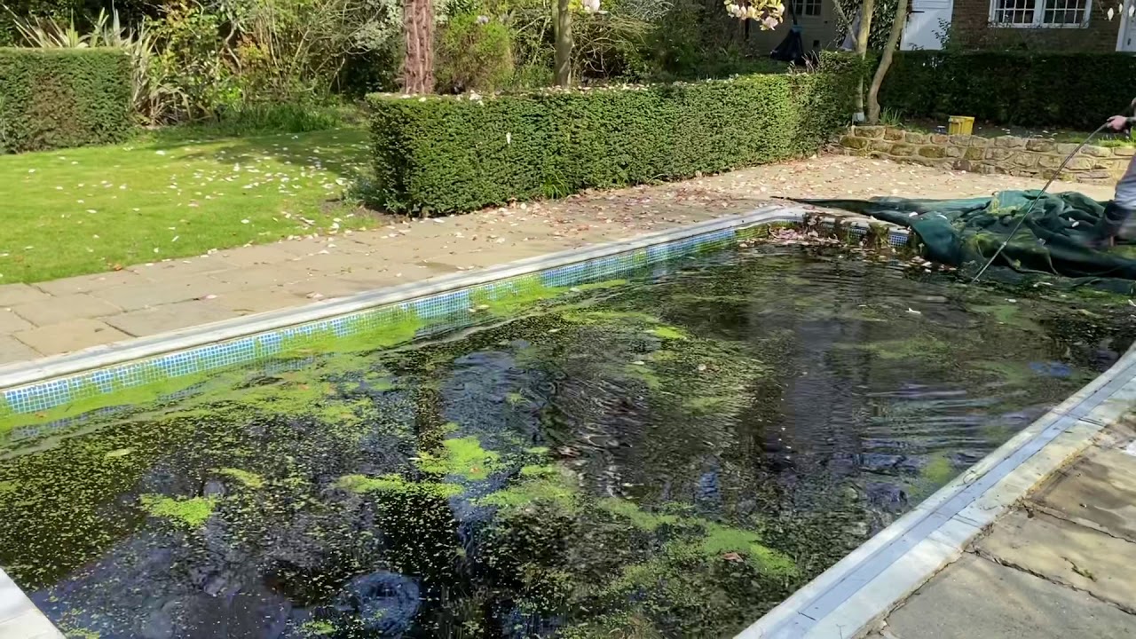 DOFF Steam Cleaning an Algae-Infested Swimming Pool – Extreme Restoration in Cobham, Surrey