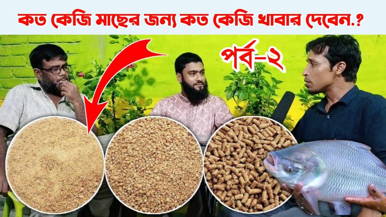 কত কেজি মাছের জন্য কত কেজি খাবার দেবেন? আধুনিক মাছ চাষ বিষয়ে আলোচনা পর্ব-২