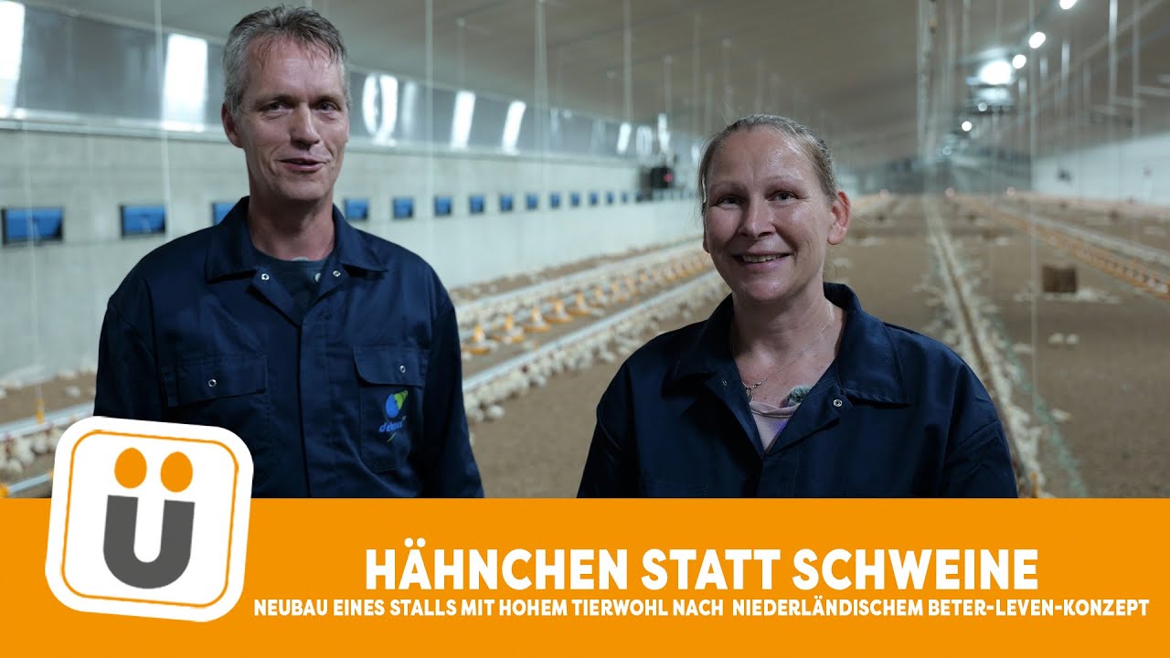 Broiler statt Schweine - Beter Leven Konzept mit hohem Tierwohl in deutscher Mast