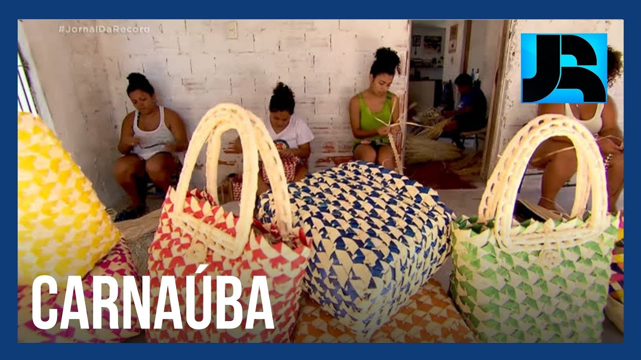 Trançados do Sertão: veja como a carnaúba garante o sustento de famílias de artesãs no Piauí